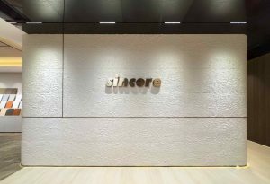 Flexible Stone Unlock Innovation in Every Corner